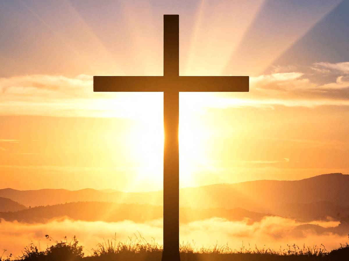 You Have A&nbsp;Hero